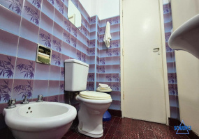 General Hornos 853, Villa Lynch, San Martin, Provincia de Buenos Aires, Argentina, 2 Bedrooms Bedrooms, 1 Room Rooms,1 BathroomBathrooms,PH,Venta,General Hornos ,2994